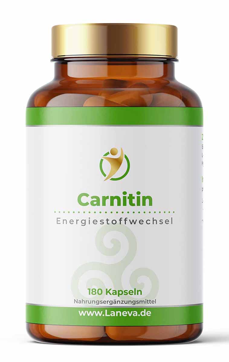 Carnitin - Kapseln